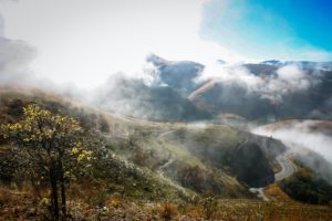 Neblige südafrikanische Landschaft im Hochland von Mpumalanga
