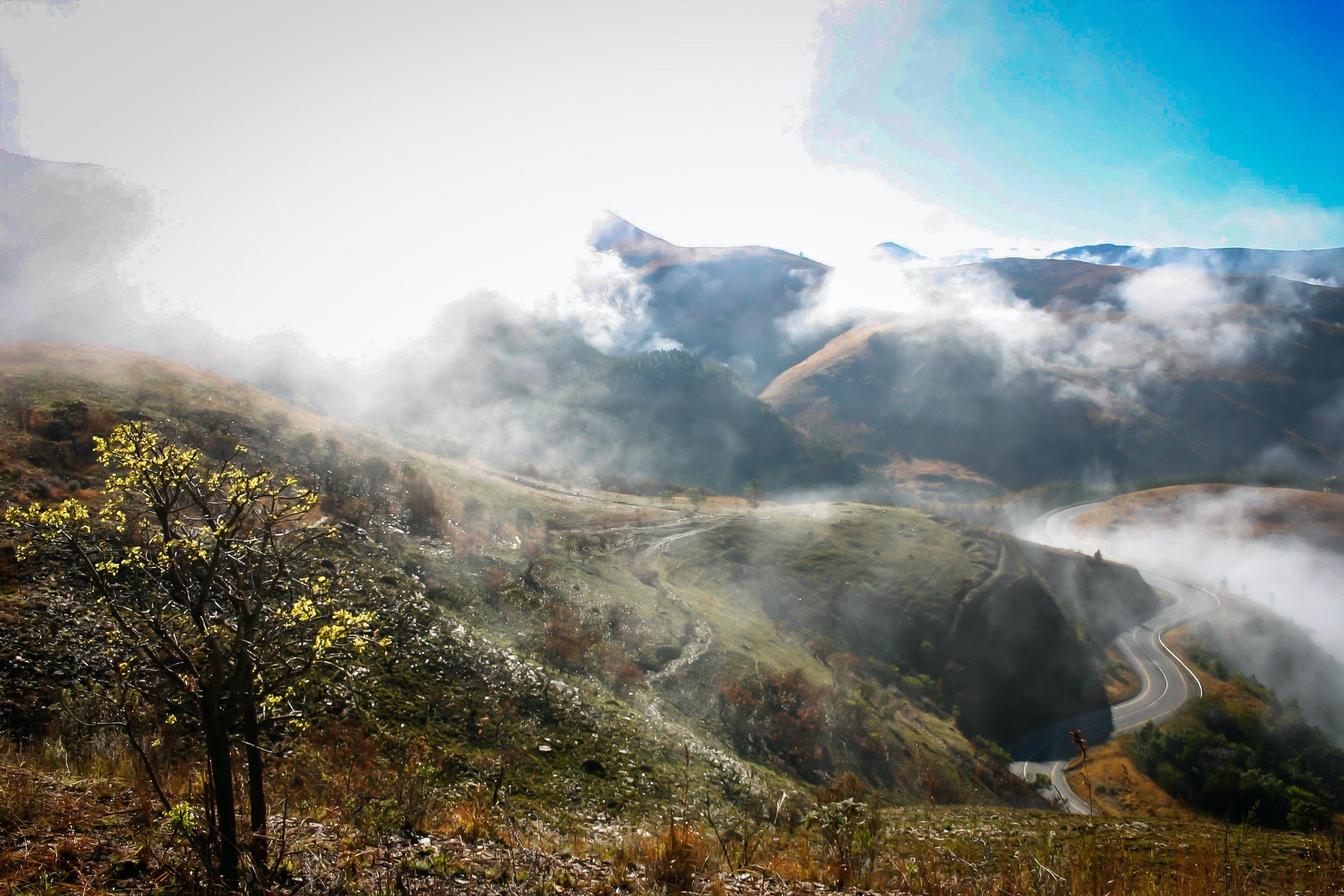 Neblige südafrikanische Landschaft im Hochland von Mpumalanga