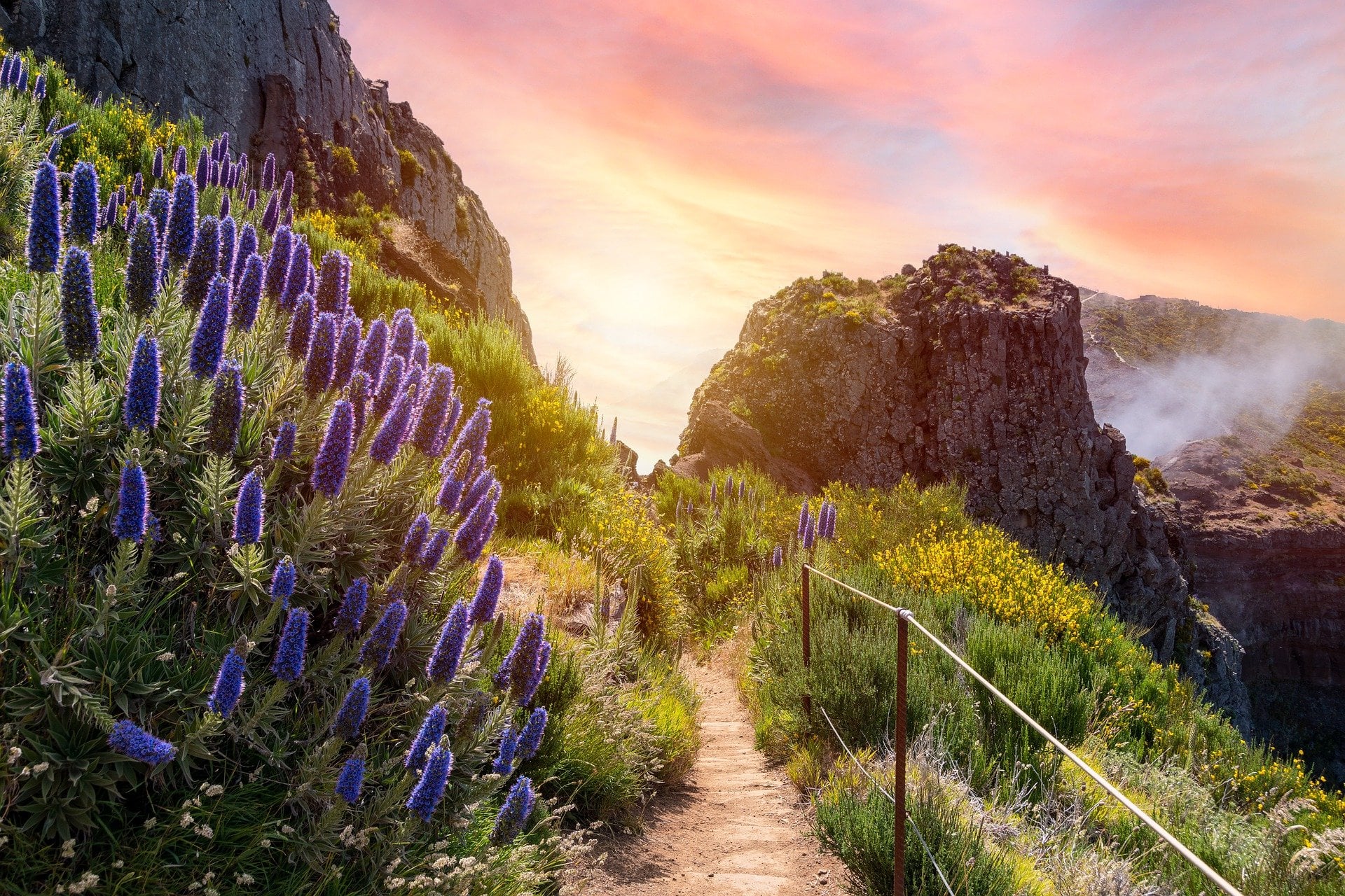 Wanderweg auf Madeira