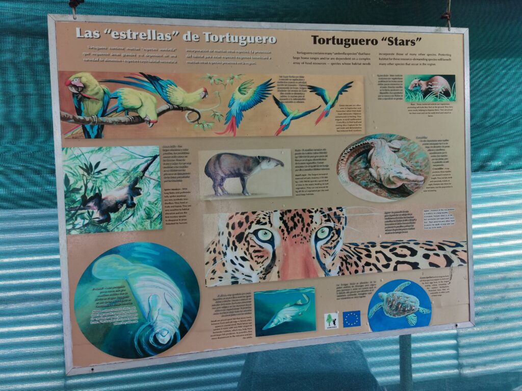 Tiere im Tortuguero Nationalpark Karte