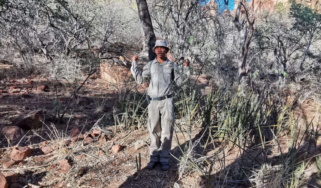 Namibia Local