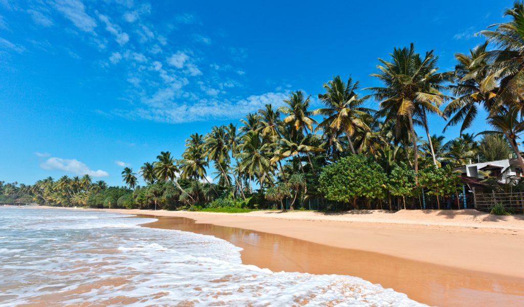 Gruppenreise Sri Lanka 2019 - Idyllischer Strand. Sri Lanka
